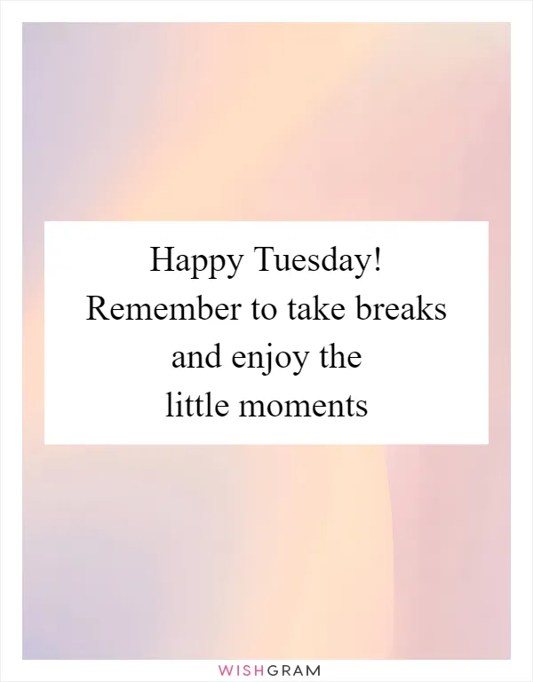 Happy Tuesday! Remember to take breaks and enjoy the little moments