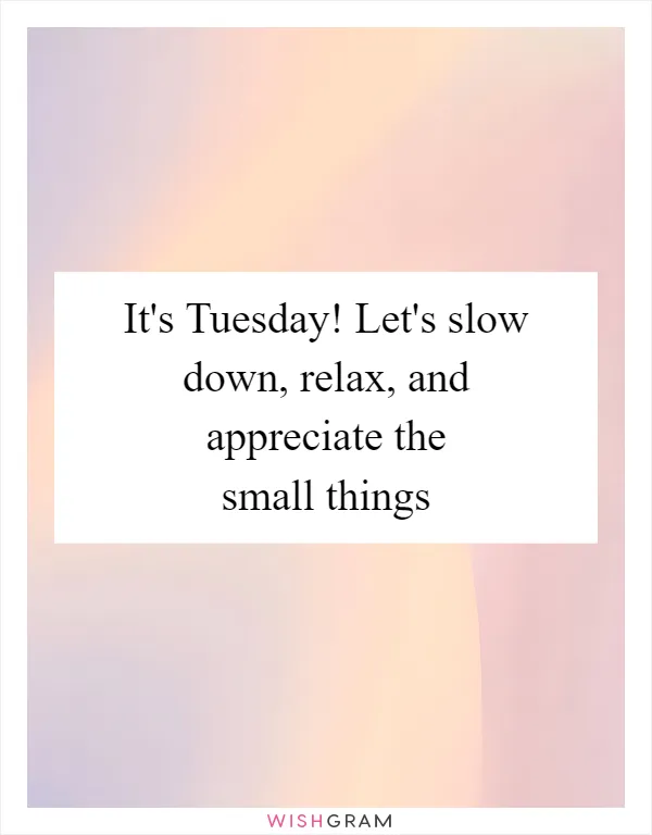 It's Tuesday! Let's slow down, relax, and appreciate the small things
