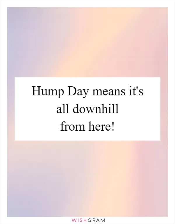 Hump Day means it's all downhill from here!