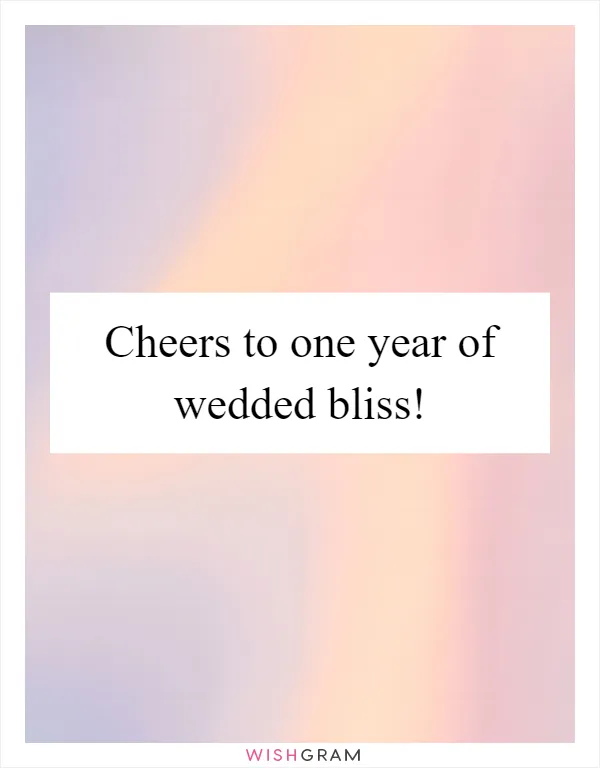 Cheers to one year of wedded bliss!