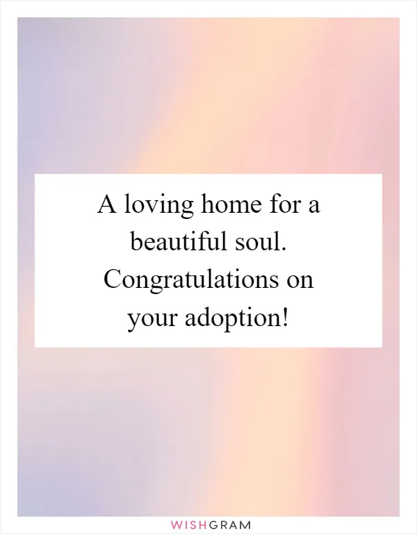 A loving home for a beautiful soul. Congratulations on your adoption!