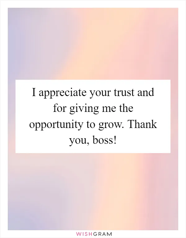 I appreciate your trust and for giving me the opportunity to grow. Thank you, boss!
