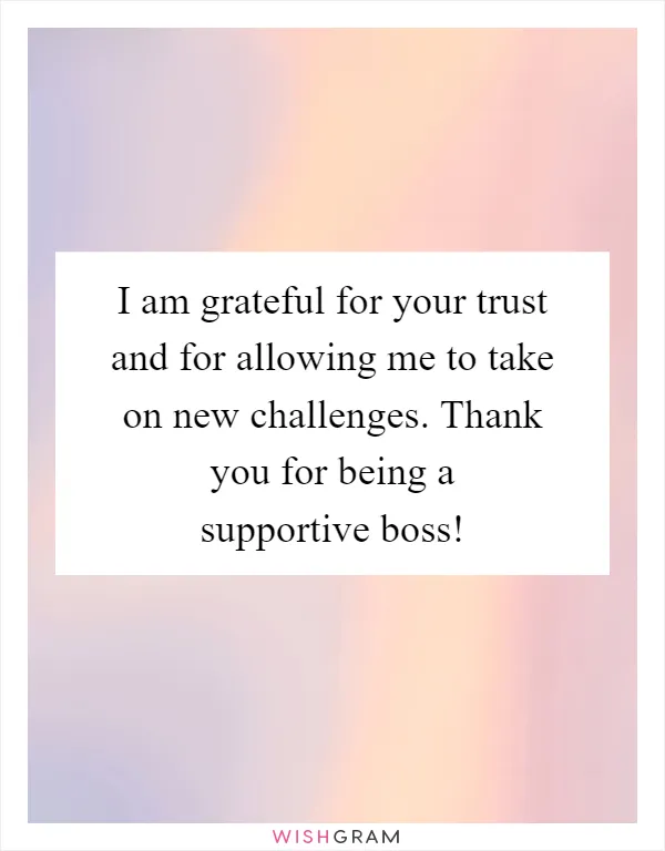 I am grateful for your trust and for allowing me to take on new challenges. Thank you for being a supportive boss!