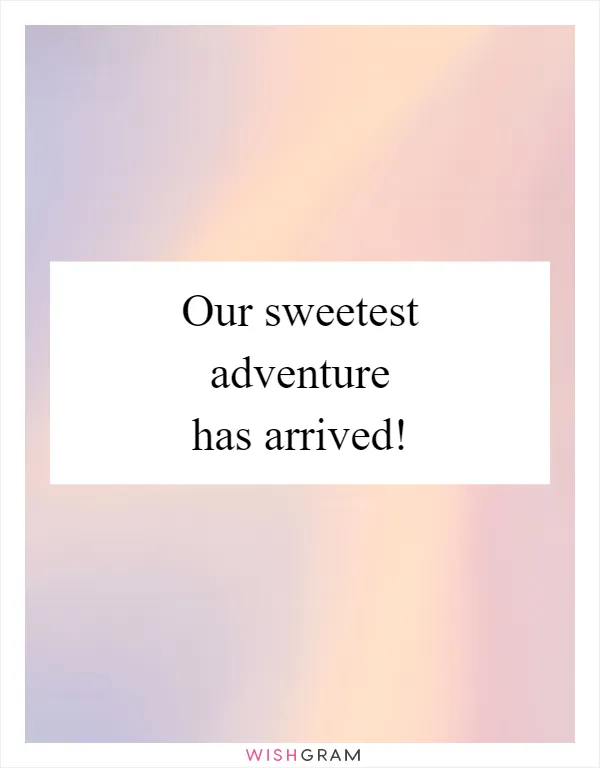 Our sweetest adventure has arrived!