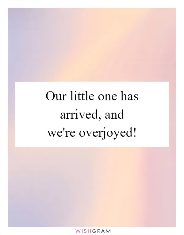 Our little one has arrived, and we're overjoyed!