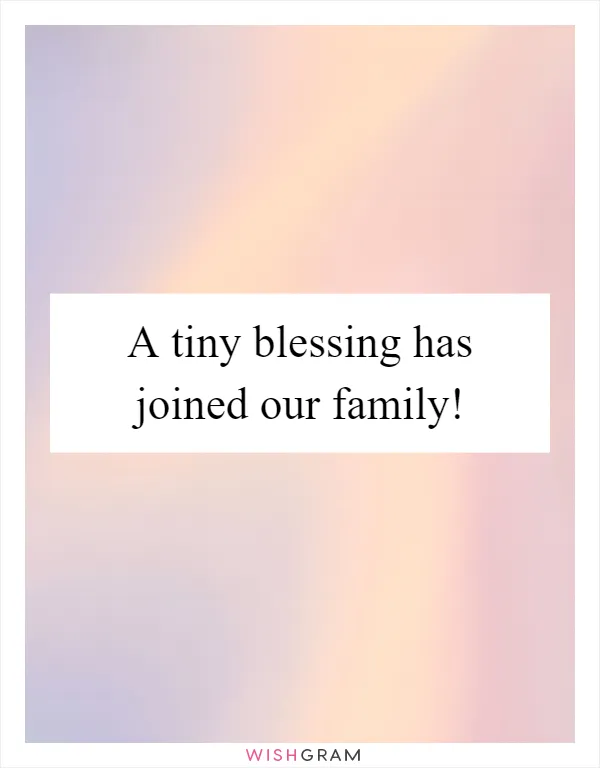 A tiny blessing has joined our family!