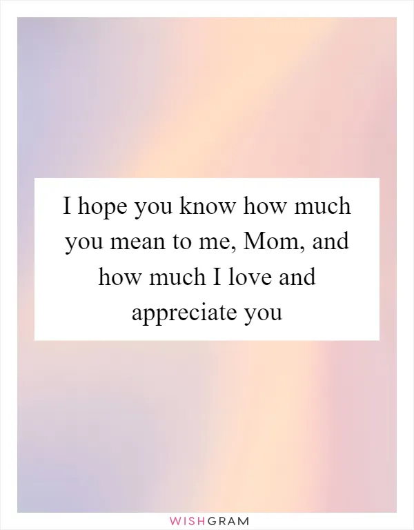 I hope you know how much you mean to me, Mom, and how much I love and appreciate you