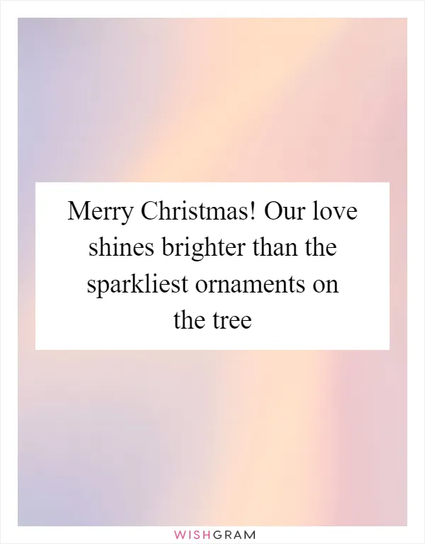 Merry Christmas! Our love shines brighter than the sparkliest ornaments on the tree