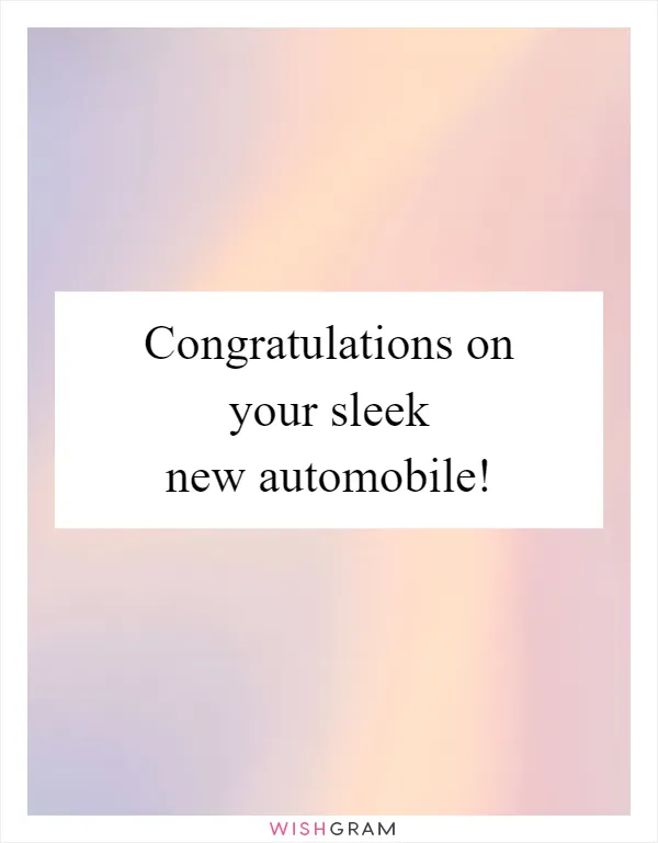 Congratulations on your sleek new automobile!