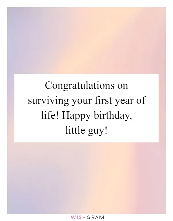 Congratulations on surviving your first year of life! Happy birthday, little guy!