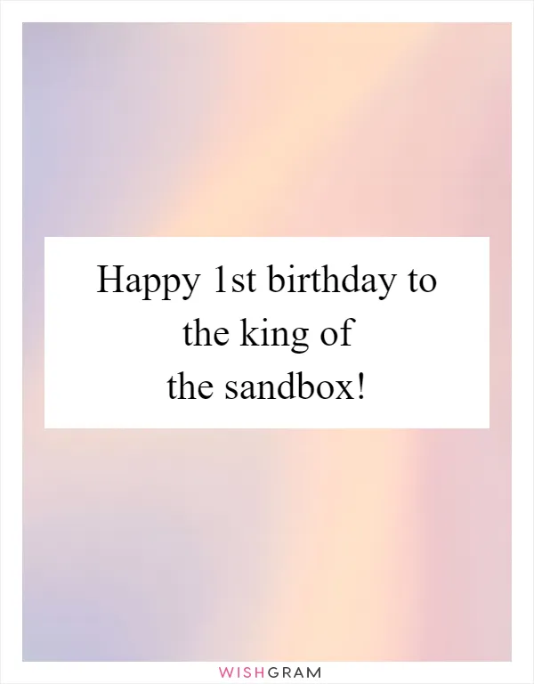 Happy 1st birthday to the king of the sandbox!
