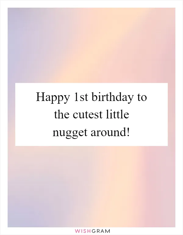 Happy 1st birthday to the cutest little nugget around!
