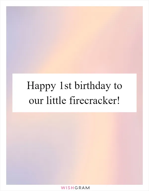 Happy 1st birthday to our little firecracker!