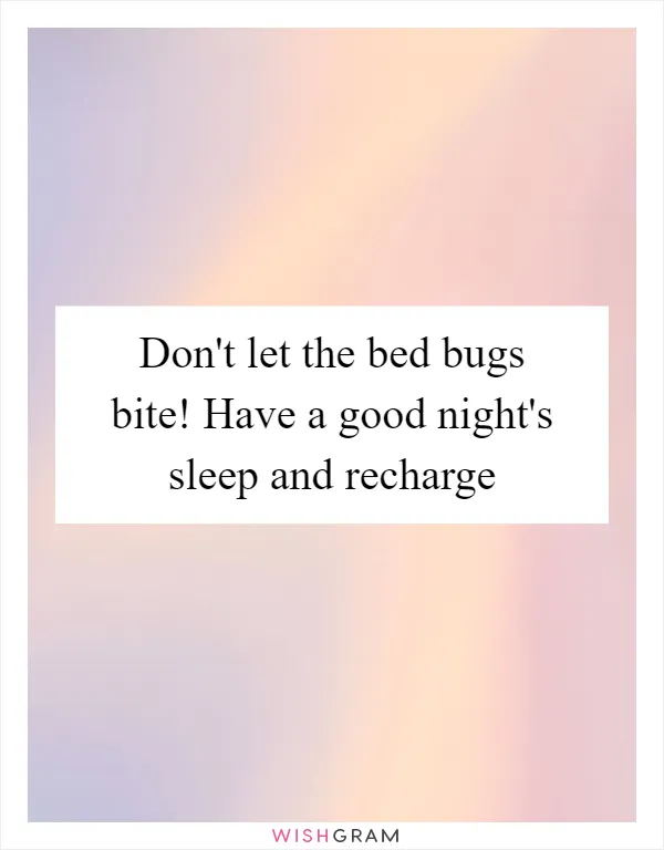 Don't let the bed bugs bite! Have a good night's sleep and recharge