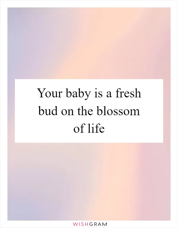 Your baby is a fresh bud on the blossom of life
