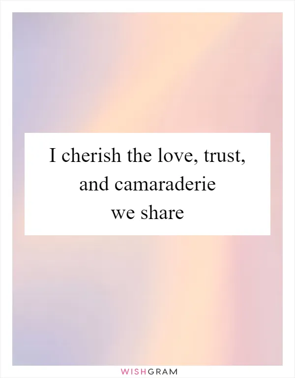 I cherish the love, trust, and camaraderie we share