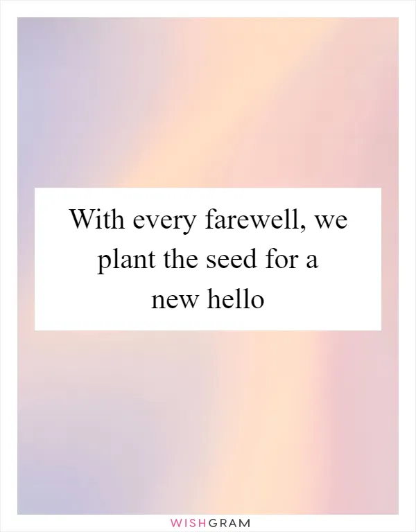 With every farewell, we plant the seed for a new hello