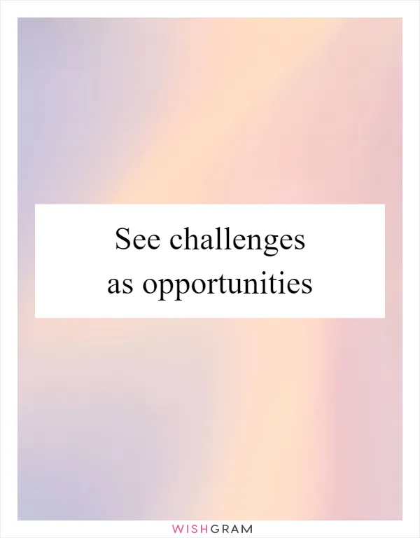 See challenges as opportunities