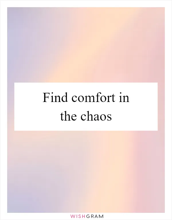 Find comfort in the chaos