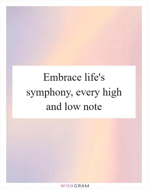 Embrace life's symphony, every high and low note