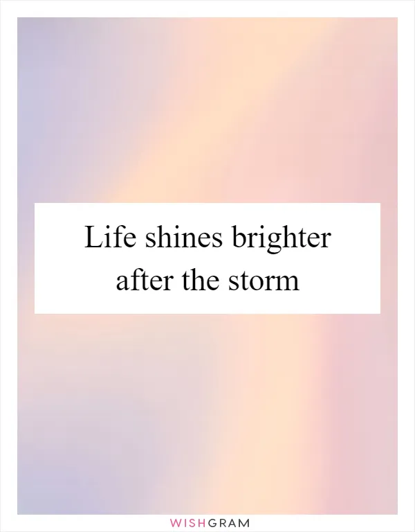 Life shines brighter after the storm