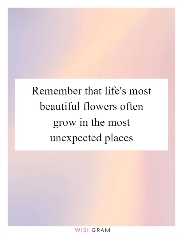 Remember that life's most beautiful flowers often grow in the most unexpected places