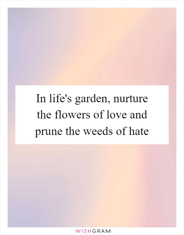 In life's garden, nurture the flowers of love and prune the weeds of hate