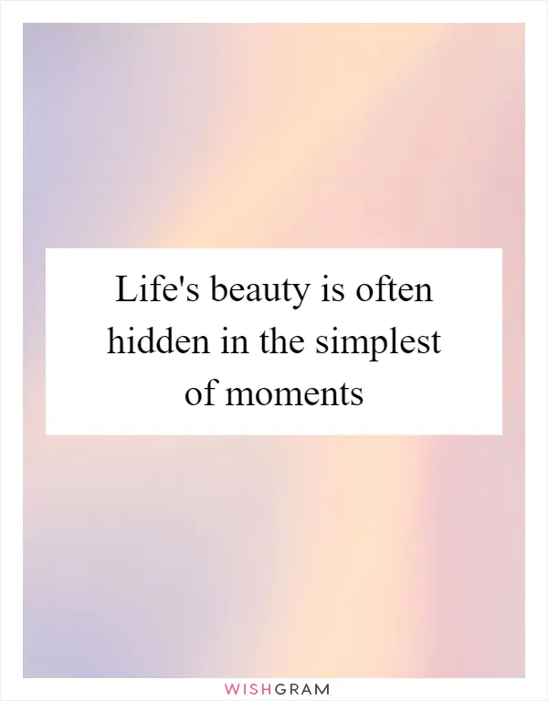Life's beauty is often hidden in the simplest of moments