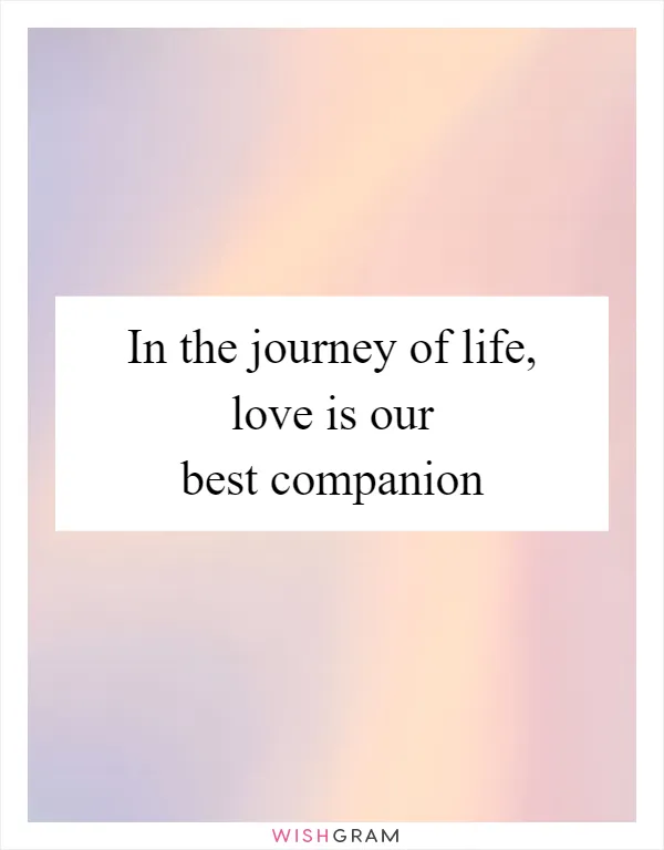 In the journey of life, love is our best companion