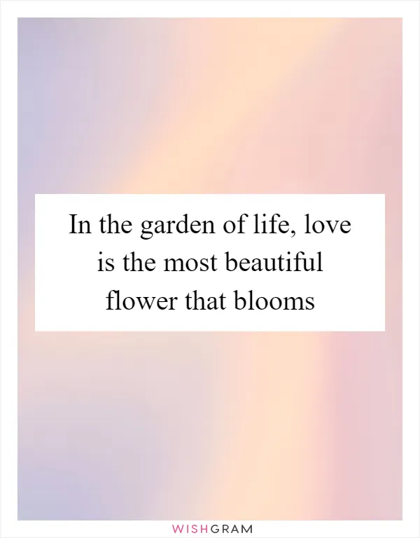 In the garden of life, love is the most beautiful flower that blooms