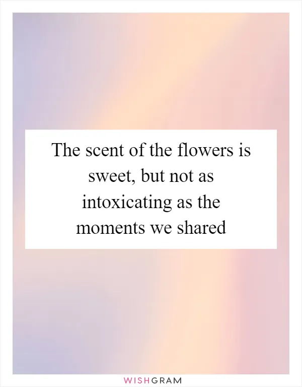 The scent of the flowers is sweet, but not as intoxicating as the moments we shared