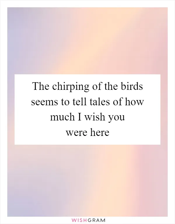 The chirping of the birds seems to tell tales of how much I wish you were here