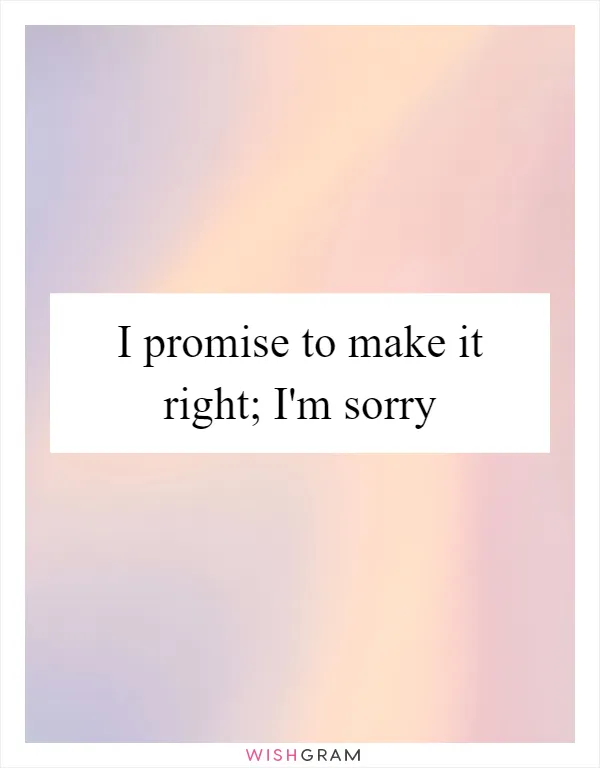 I promise to make it right; I'm sorry