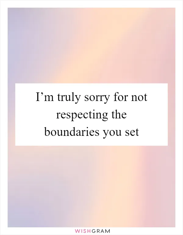 I’m truly sorry for not respecting the boundaries you set