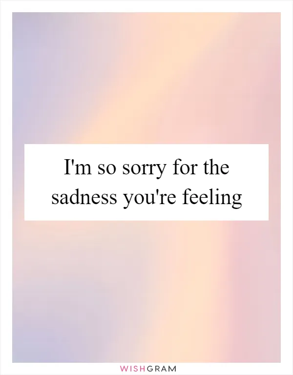 I'm so sorry for the sadness you're feeling