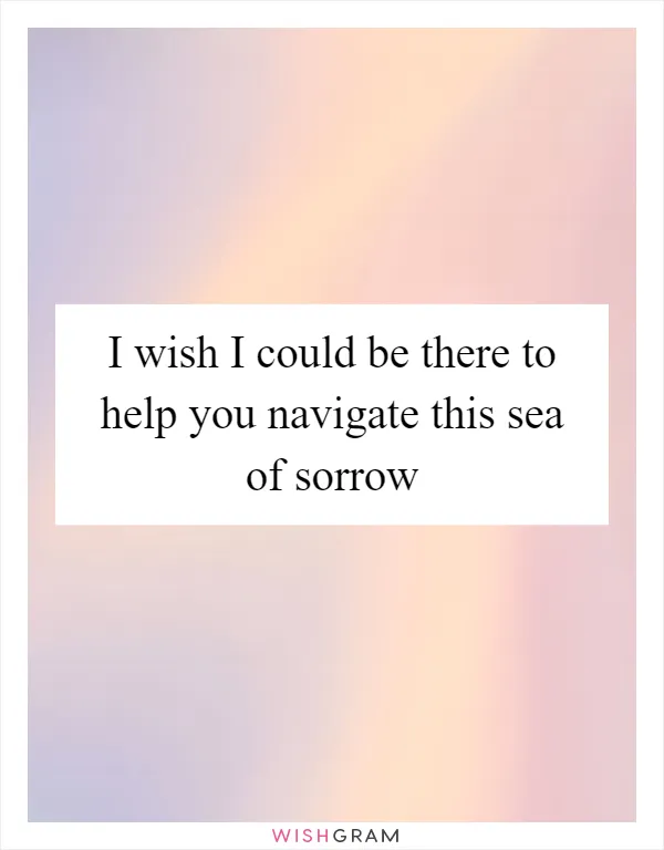 I wish I could be there to help you navigate this sea of sorrow