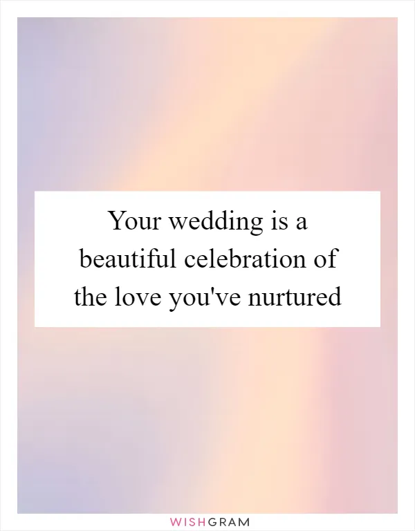 Your wedding is a beautiful celebration of the love you've nurtured