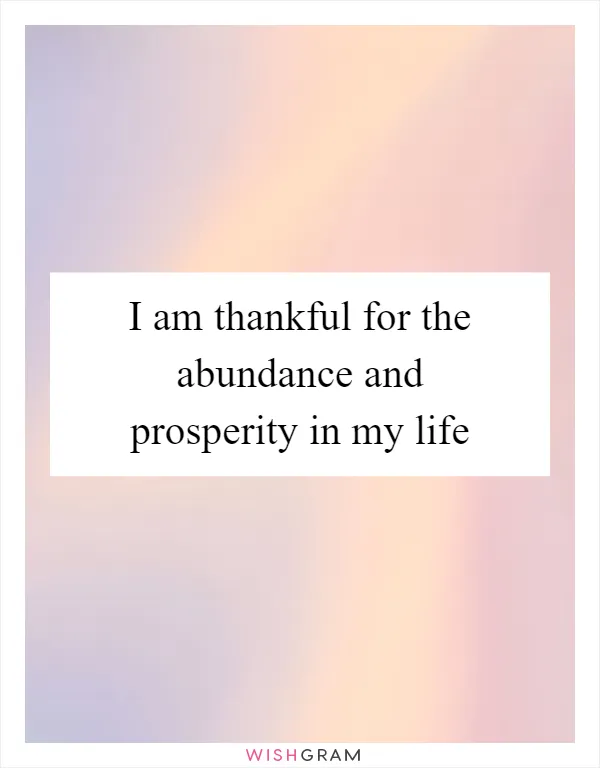 I am thankful for the abundance and prosperity in my life