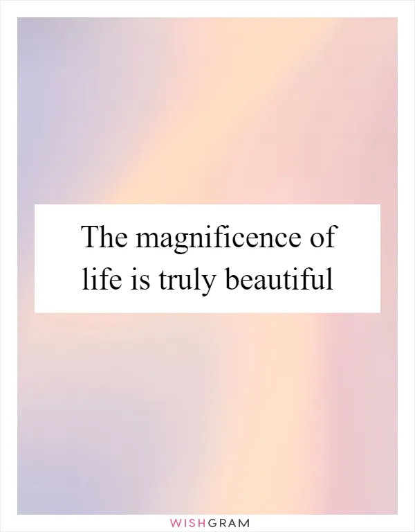 The magnificence of life is truly beautiful