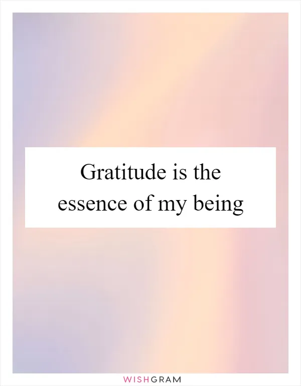 Gratitude is the essence of my being