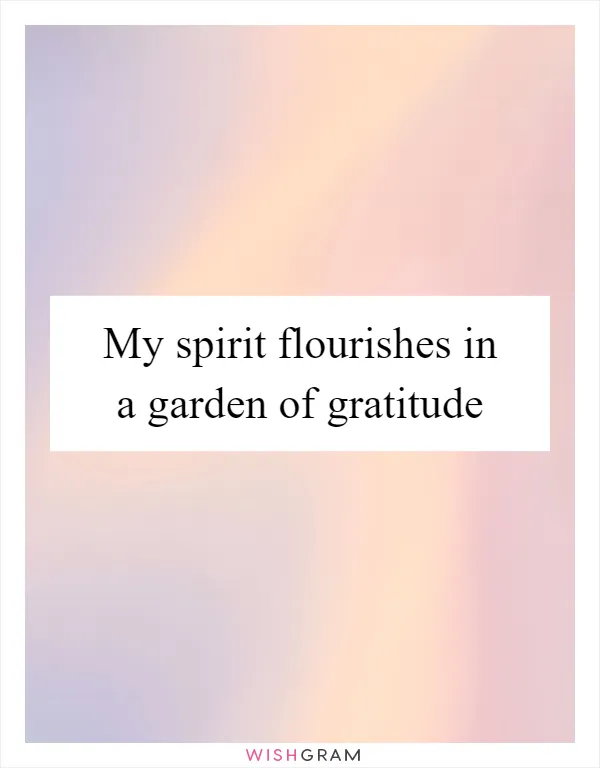 My spirit flourishes in a garden of gratitude