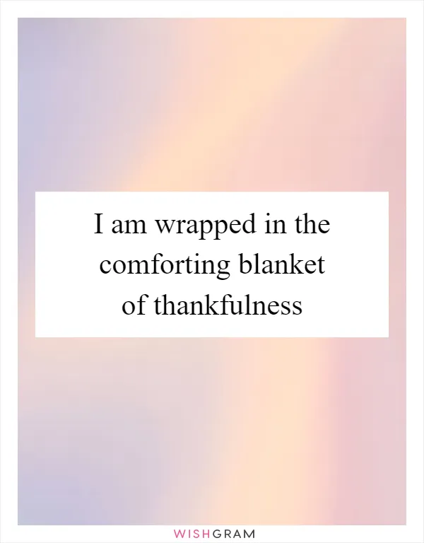 I am wrapped in the comforting blanket of thankfulness