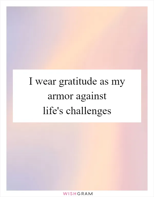 I wear gratitude as my armor against life's challenges