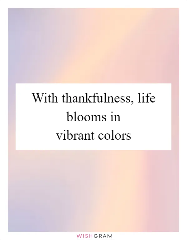 With thankfulness, life blooms in vibrant colors