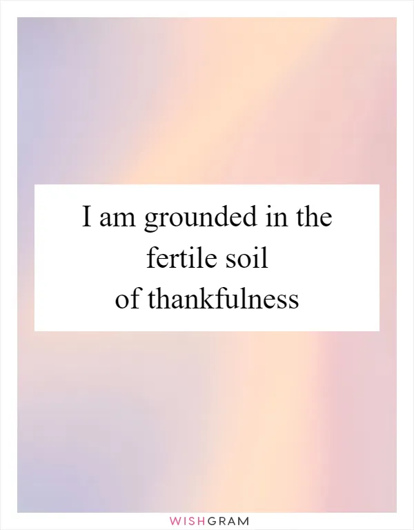 I am grounded in the fertile soil of thankfulness