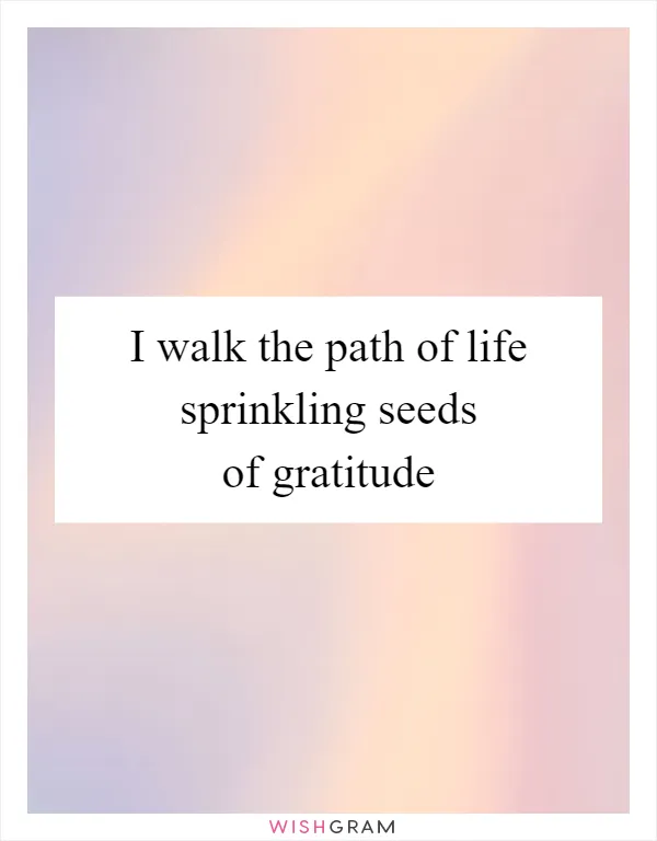 I walk the path of life sprinkling seeds of gratitude