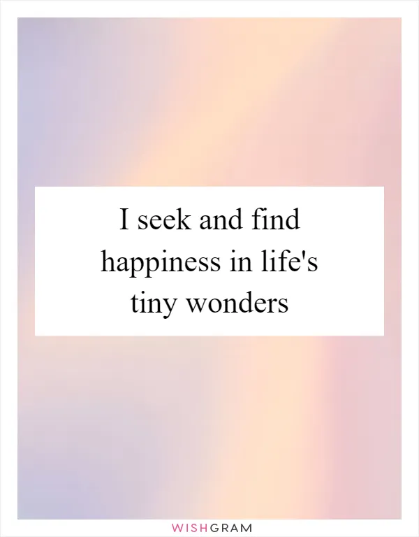 I seek and find happiness in life's tiny wonders