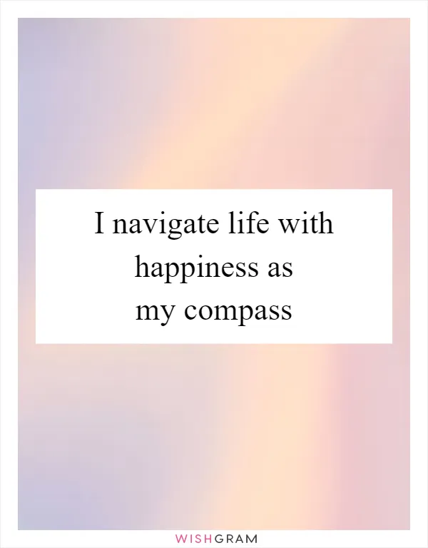 I navigate life with happiness as my compass