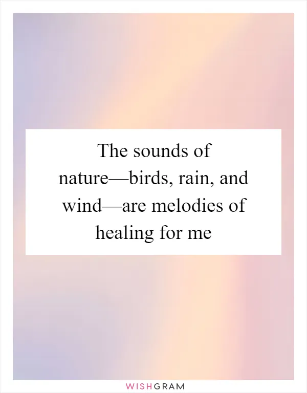 The sounds of nature—birds, rain, and wind—are melodies of healing for me