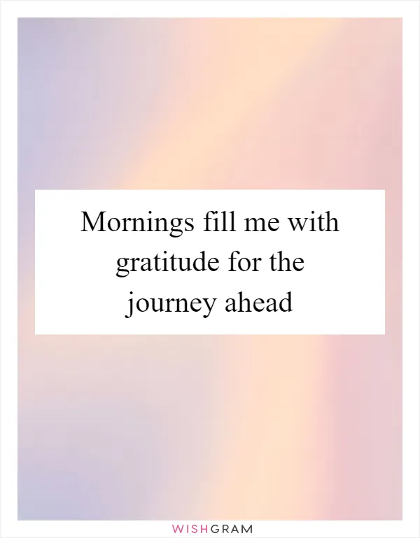 Mornings fill me with gratitude for the journey ahead